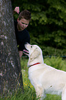 Golden Retriever