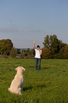 woman Golden Retriever