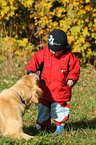 golden retriever and child