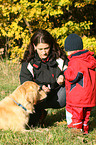 golden retriever and child