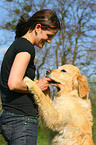 woman feeds Golden Retriever