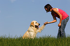 woman and Golden Retriever