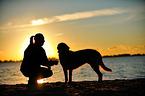woman and Golden Retriever