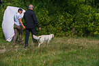 Golden Retriever at character testing