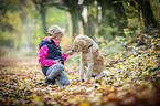 young Golden Retriever