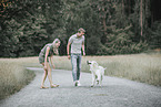 male Golden Retriever