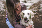 female Golden Retriever