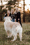 Golden Retriever