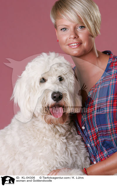 Frau und Goldendoodle / woman and Goldendoodle / KL-04306