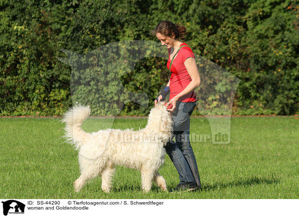 Frau und Goldendoodle / woman and Goldendoodle / SS-44290