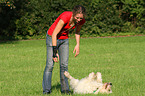 woman and Goldendoodle
