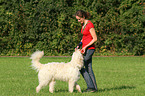 woman and Goldendoodle
