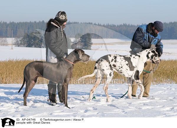 Menschen mit Deutschen Doggen / people with Great Danes / AP-04746