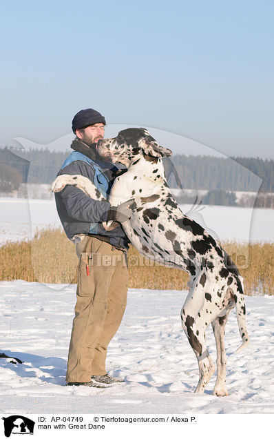 Mann mit Deutscher Dogge / man with Great Dane / AP-04749