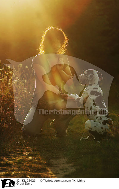 Frau und Deutsche Dogge / Great Dane / KL-02023