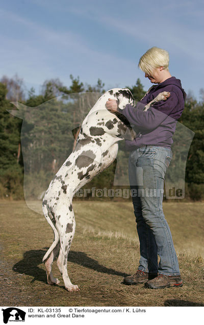Frau und Deutsche Dogge / woman and Great Dane / KL-03135