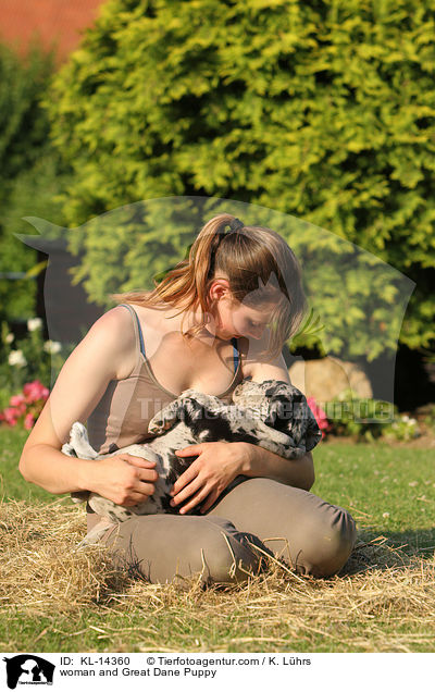 Frau und Deutsche Dogge Welpe / woman and Great Dane Puppy / KL-14360