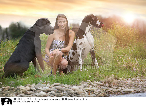 Frau und Deutsche Dogge / woman and Great Dane / CDE-01813