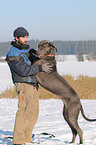 man with Great Dane