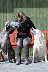 woman and dogs