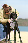 woman and Great Dane
