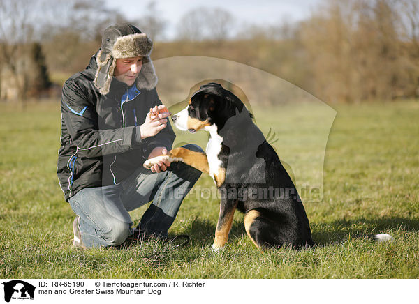Mann und Groer Schweizer Sennenhund / man and Greater Swiss Mountain Dog / RR-65190
