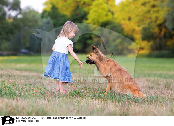 Mdchen mit Harzer Fuchs / girl with Harz Fox / JEG-01907