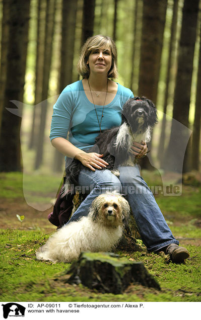 woman with havanese / AP-09011