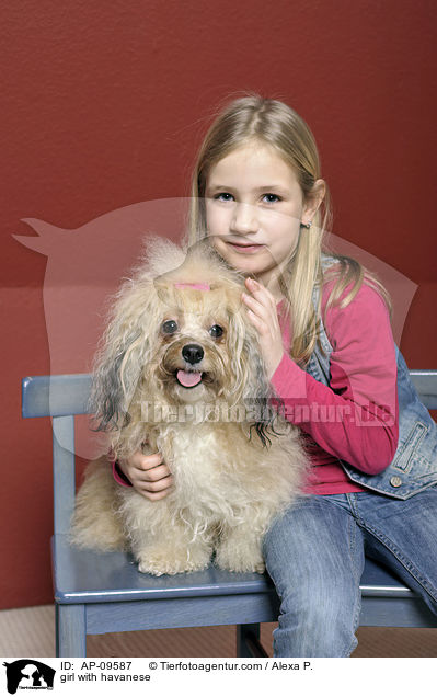 Mdchen mit Havaneser / girl with havanese / AP-09587