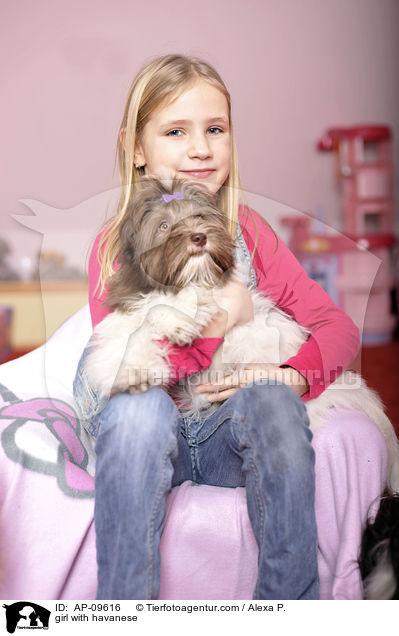 girl with havanese / AP-09616