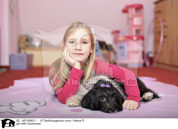 girl with havanese / AP-09621