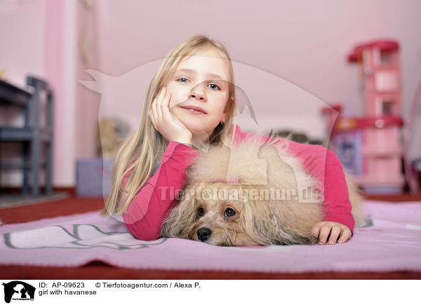 girl with havanese / AP-09623