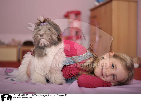 girl with havanese / AP-09625