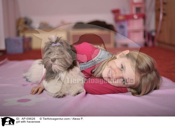 girl with havanese / AP-09626