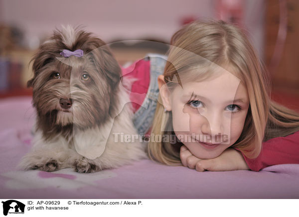 girl with havanese / AP-09629