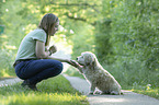 woman with Havanese