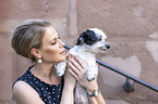 shorn Havanese