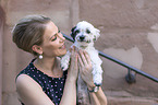 shorn Havanese