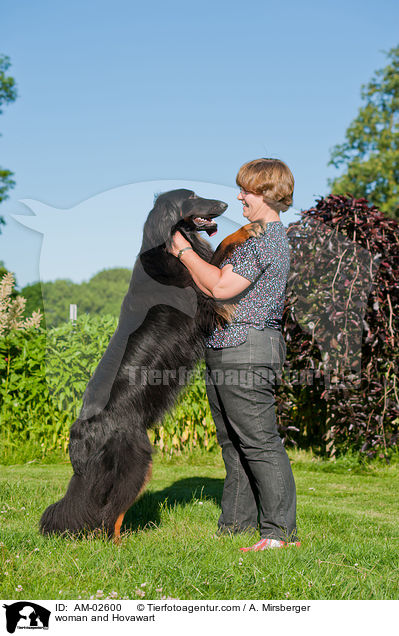 Frau und Hovawart / woman and Hovawart / AM-02600
