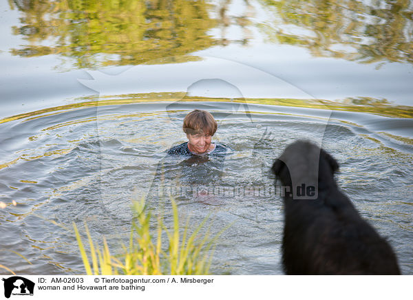 Frau badet mit Hovawart / woman and Hovawart are bathing / AM-02603