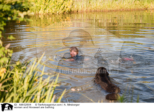 Frau badet mit Hovawart / woman and Hovawart are bathing / AM-02604