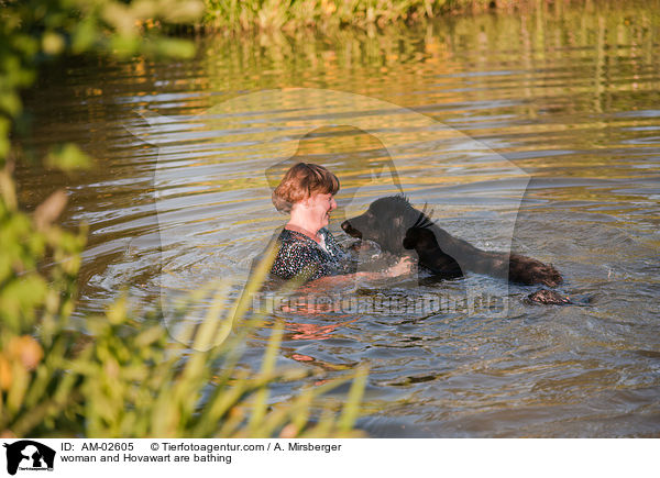 Frau badet mit Hovawart / woman and Hovawart are bathing / AM-02605