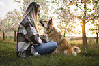 Icelandic Sheepdog