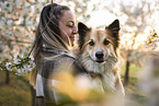 Icelandic Sheepdog