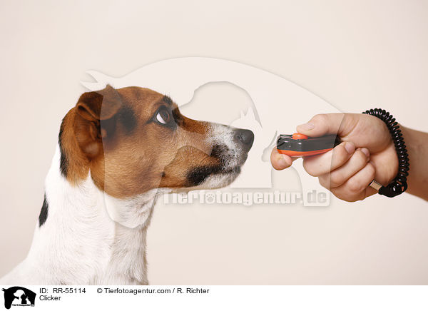Klicker / Clicker / RR-55114