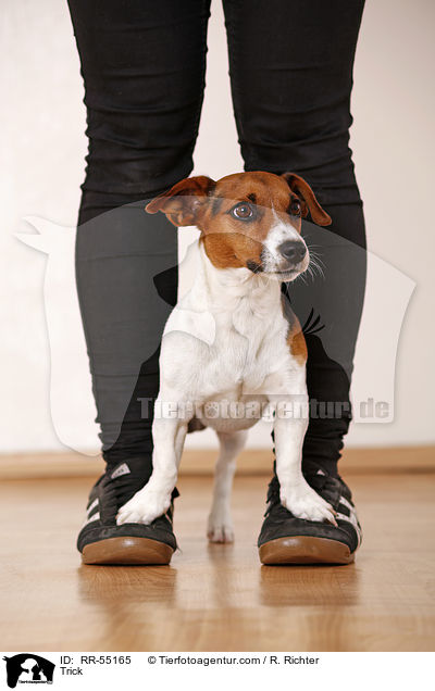 Trick / Trick / RR-55165