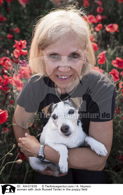 Frau mit Jack Russell Terrier im Mohnfeld / woman with Jack Russell Terrier in the poppy field / AH-01936
