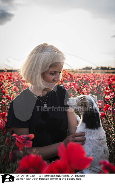 Frau mit Jack Russell Terrier im Mohnfeld / woman with Jack Russell Terrier in the poppy field / AH-01939