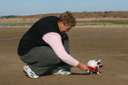 woman plays with Jack Russell Terrier Puppy