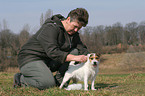 trimming a Jack Russell Terrier